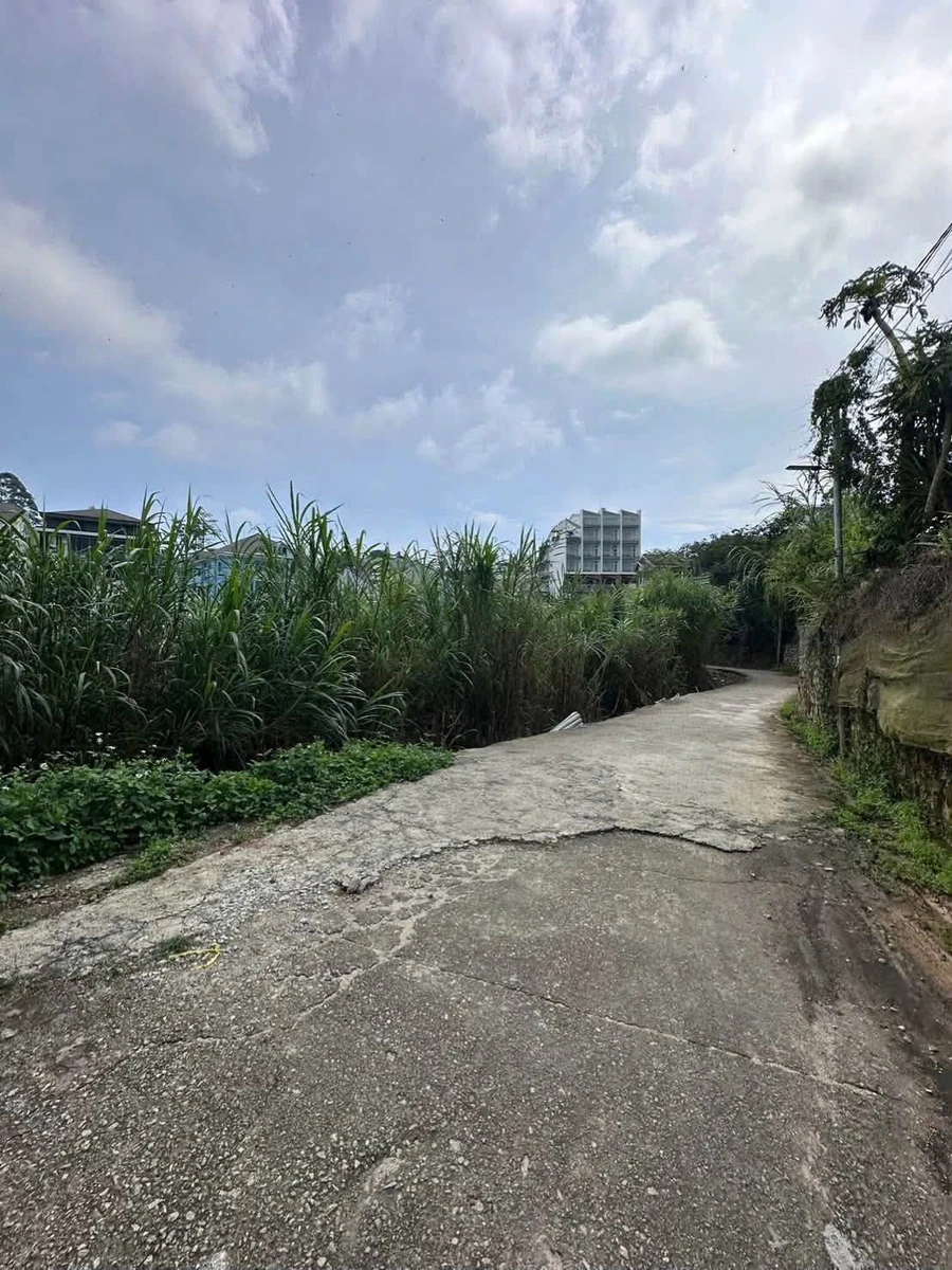 Bán lô đất 2100m2 mặt tiền Hùng Vương, Đà Lạt - Ảnh thu nhỏ 5