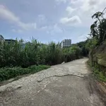 Bán lô đất 2100m2 mặt tiền Hùng Vương, Đà Lạt - Ảnh thu nhỏ 5