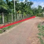 Bán lô đất 140m² xã Ea Ning Đắk Lắk giá 175 triệu - Ảnh thu nhỏ 4