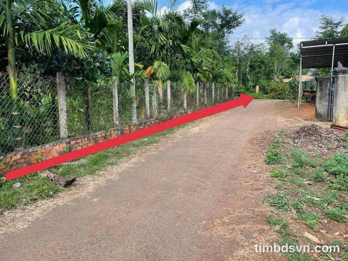 Bán lô đất 140m² xã Ea Ning Đắk Lắk giá 175 triệu - Ảnh thu nhỏ 4