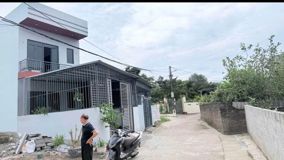 Bán lô đất gần 1.000m² Tích Lương, Bình Chánh, giá 2 tỷ - Ảnh thu nhỏ 3