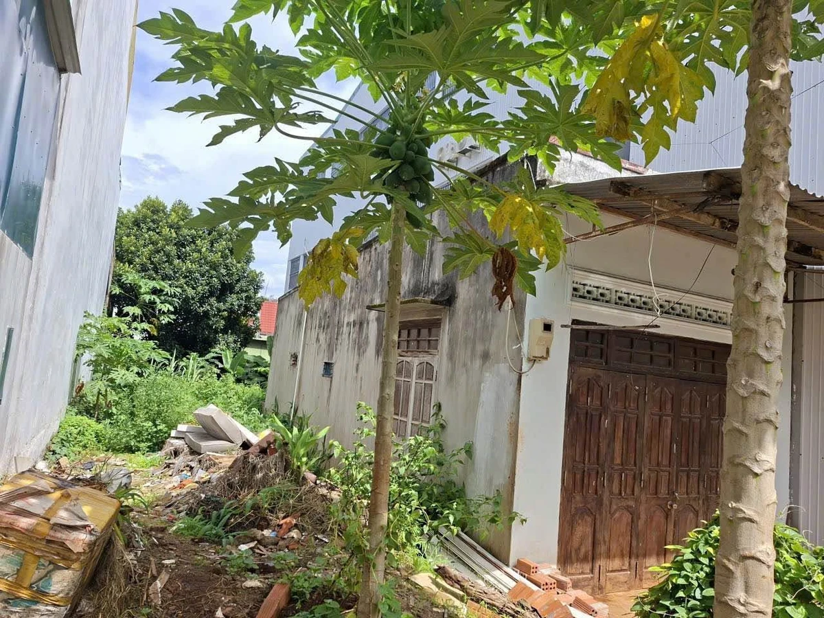 Bán đất hẻm Đỗ Nhuận, 296 m², Tân Lợi, Bình Minh - Ảnh thu nhỏ 3