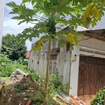 Bán đất hẻm Đỗ Nhuận, 296 m², Tân Lợi, Bình Minh - Ảnh thu nhỏ 3