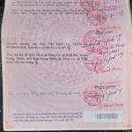 Bán 33 công đất ruộng lúa, An Giang, 105 tr/công - Ảnh thu nhỏ 3