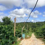 Bán đất 1,4ha mặt đường Đồng Khởi Gia Nghĩa 6 tỷ - Ảnh thu nhỏ 3