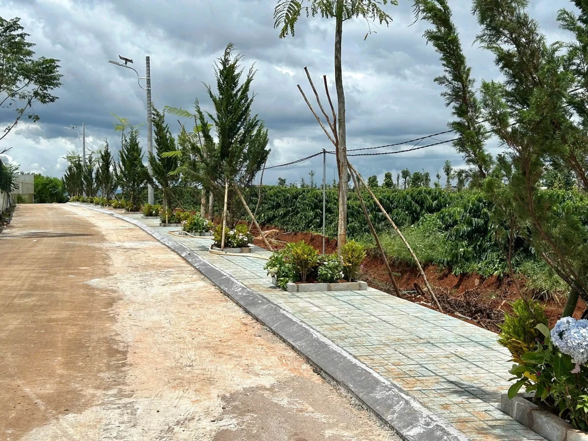 Bán đất nền 100m² Ngọc Trinh Tân Hà từ 579 triệu - Ảnh thu nhỏ 4