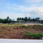 Bán nền 5×30m (150m²) 750 triệu Nhà Bè - Ảnh thu nhỏ 3