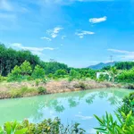 Bán đất trang trại 5500m2 Đông Thái gần chợ trường học - Ảnh thu nhỏ 3