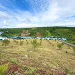 Bán đất 1,2 hecta Bảo Lộc view hồ 16,6 tỷ - Ảnh thu nhỏ 5