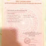 Vườn vải full siêu đẹp chỉ 6xxtr - Ảnh thu nhỏ 10
