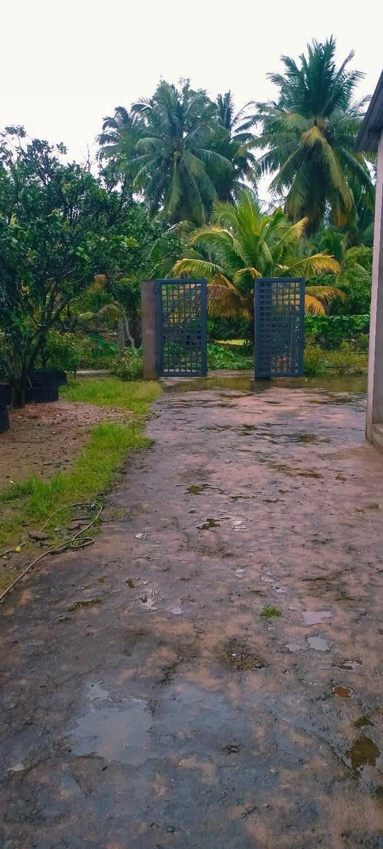 Bán nhà mới xây 500m² 3 phòng ngủ Bình Phú - Ảnh thu nhỏ 5