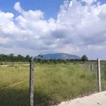 Bán đất nền 1 sào 200m² Xuân Thọ sổ riêng - Ảnh thu nhỏ 3
