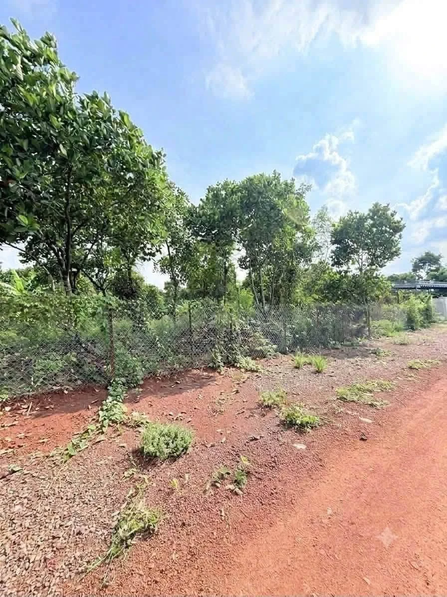 Bán đất vườn 400m² Bảo Vinh 690 triệu - Ảnh 1