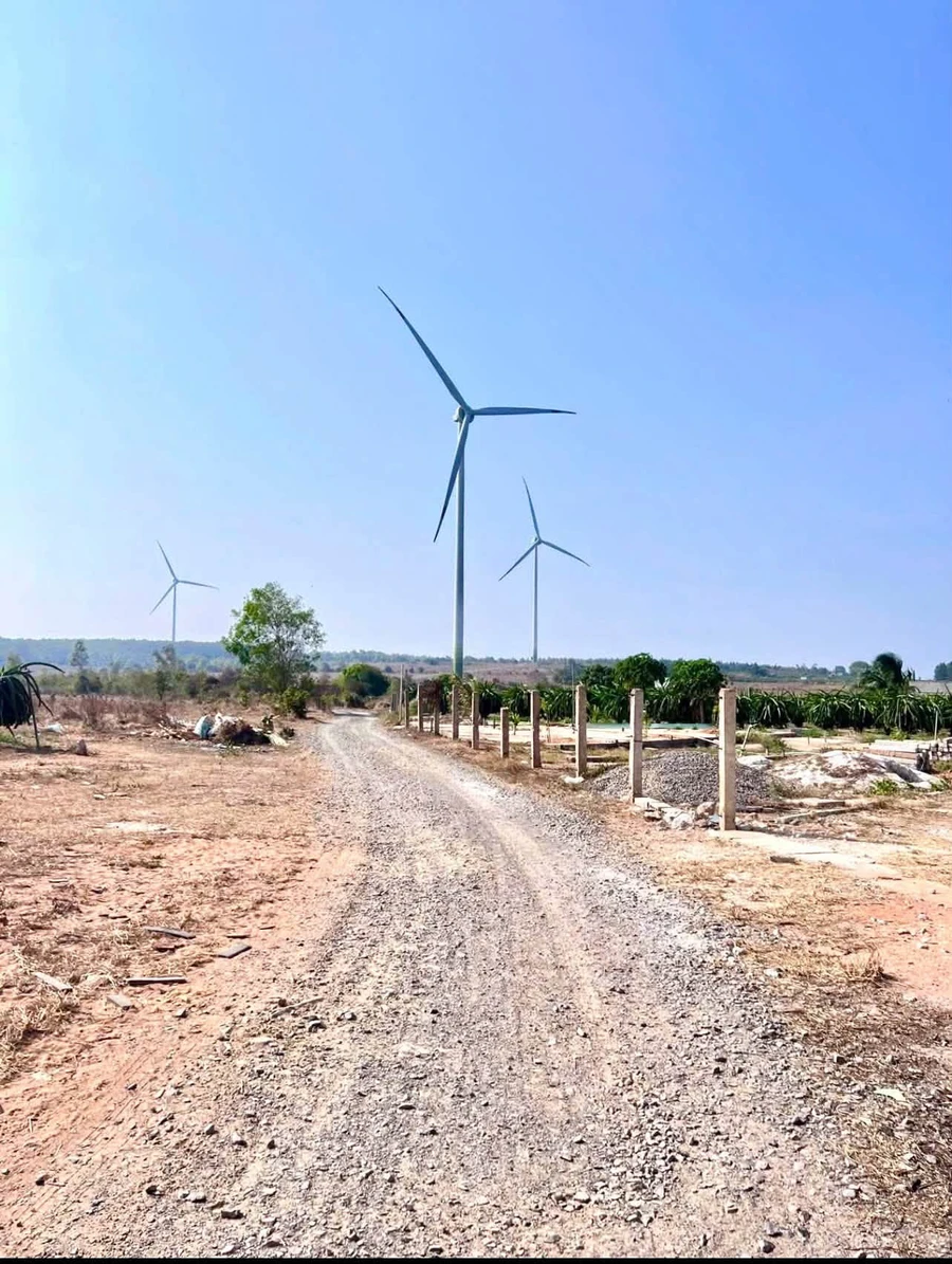 Bán đất biển Tiến Thành 2000m² sổ hồng riêng, view cánh quạt gió - Ảnh thu nhỏ 3