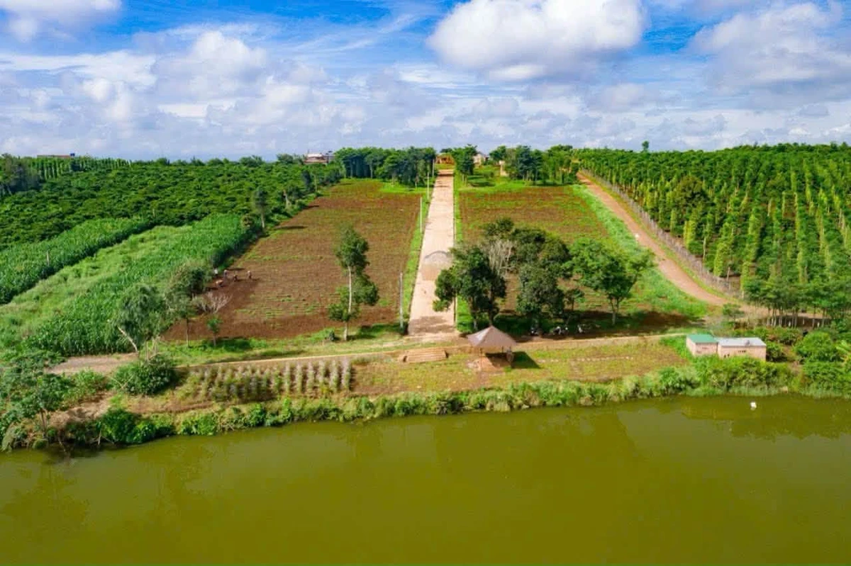 Bán đất Phúc Thọ Hà Nội 362.5m² giá 600 triệu - Ảnh 1