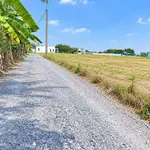 Bán đất thổ cư 105m2 (5x21m) Hòa Khánh Đông, Đức Hòa, Long An giá 620 triệu - Ảnh thu nhỏ 1