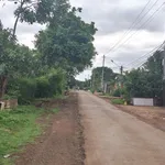Mặt tiền kinh doanh 255m² Nguyễn Xuân Nguyên, Tân An - Ảnh thu nhỏ 2