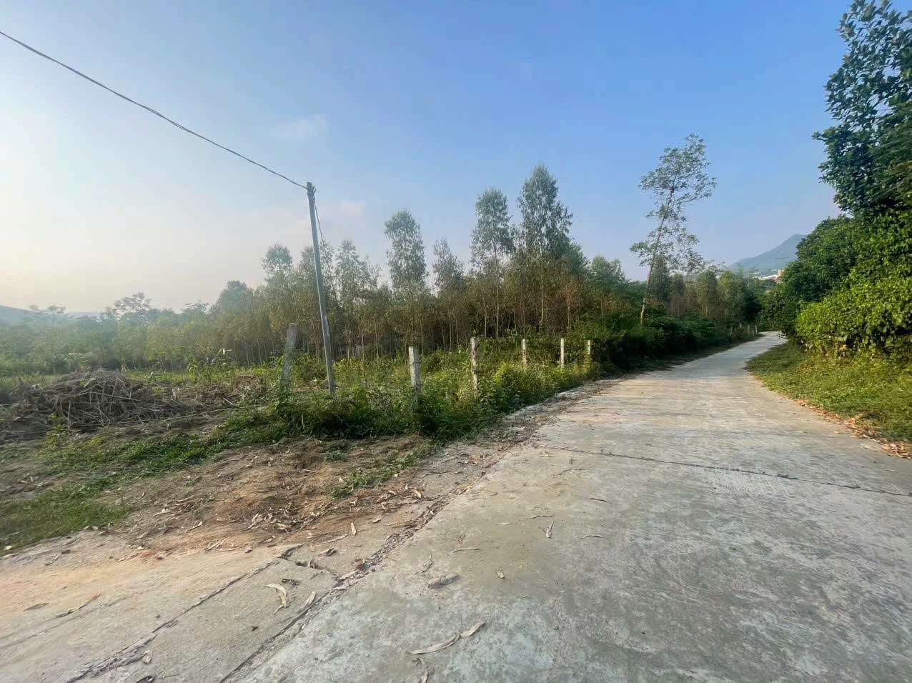 Bán đất 272,3m² Hóc Môn hơn 300 triệu - Ảnh 1