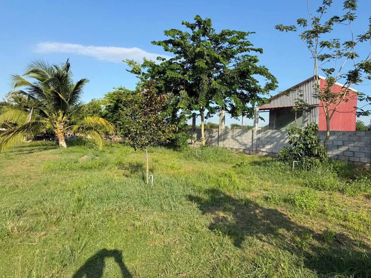 Bán 1500m² đất cây trồng Xã Hàm Liêm, Lâm Đồng - Ảnh thu nhỏ 4