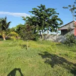 Bán 1500m² đất cây trồng Xã Hàm Liêm, Lâm Đồng - Ảnh thu nhỏ 4