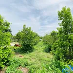 Bán đất 1150m² gần Lộc An, Bà Rịa - Vũng Tàu, giá 1.5 tỷ - Ảnh thu nhỏ 5