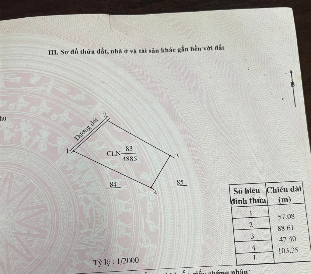 Bán vườn cà phê tiêu 5 sào Tuy Đức Đăk Nông - Ảnh thu nhỏ 4