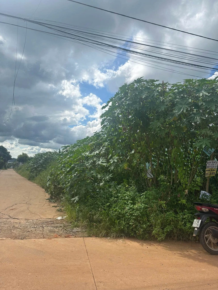 Bán đất góc 2 mặt tiền 5x24m, 128 Đồng Khởi, Phường Buôn Ma Thuột, giá 4,5 tỷ - Ảnh thu nhỏ 4
