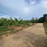 Bán lô đất 5x25m Quận 12 giảm giá còn 290 triệu - Ảnh thu nhỏ 5