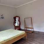 Cho thuê chuỗi 7 homestay 540m² tại Tân Hòa, Đắk Lắk - Ảnh thu nhỏ 4