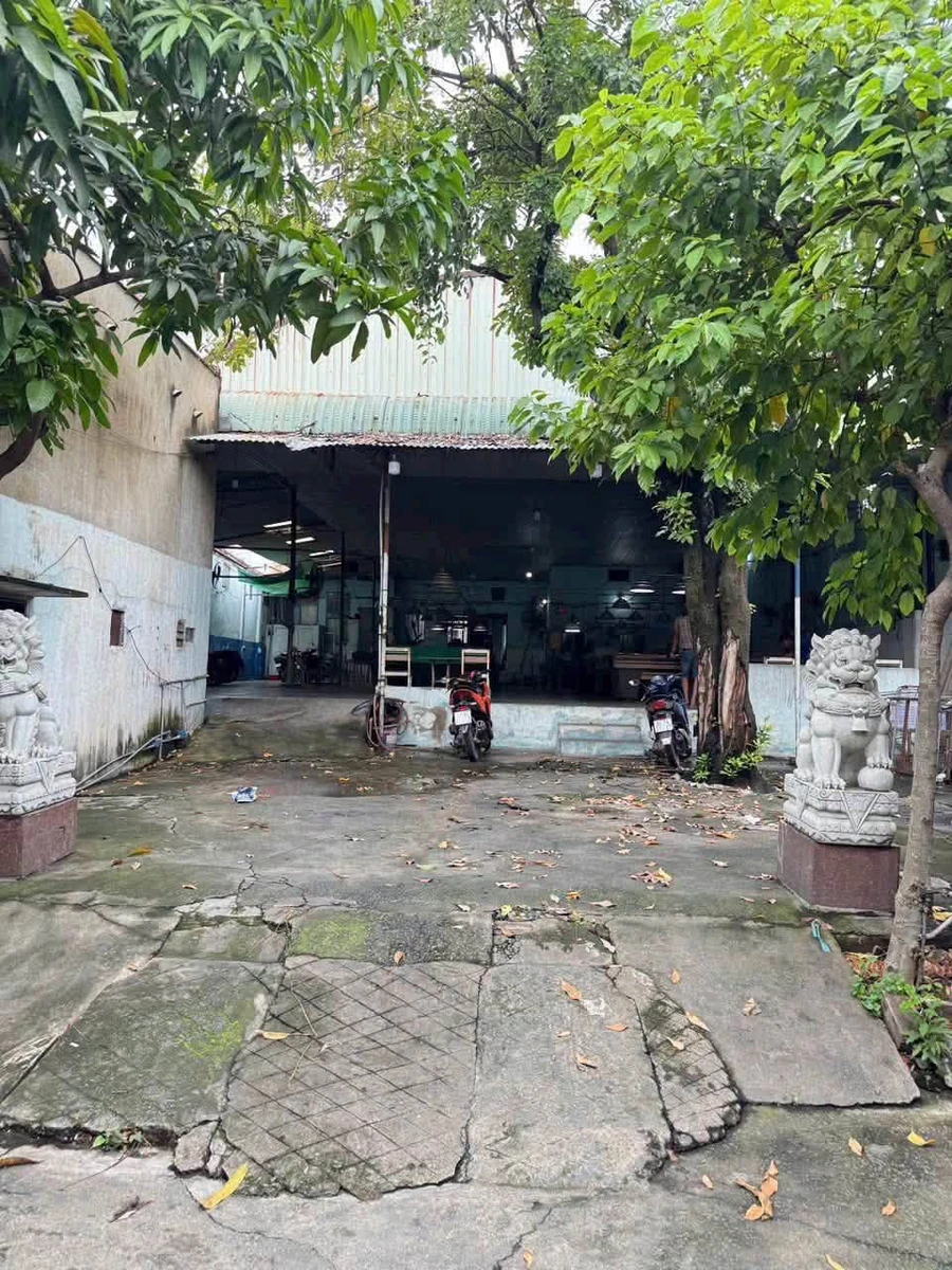 Cho thuê mặt bằng 15x30m mặt tiền đường Bùi Văn Hòa, Long Bình, Đồng Nai - Ảnh thu nhỏ 3