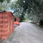 Bán đất Tân Bình 185m2 1.7 tỷ Bình Mỹ Vĩnh Tân - Ảnh thu nhỏ 3