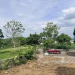 Bán gấp 2.000m2 có 200m2 thổ cư 2 mặt tiền chạy quanh đất - Ảnh thu nhỏ 18