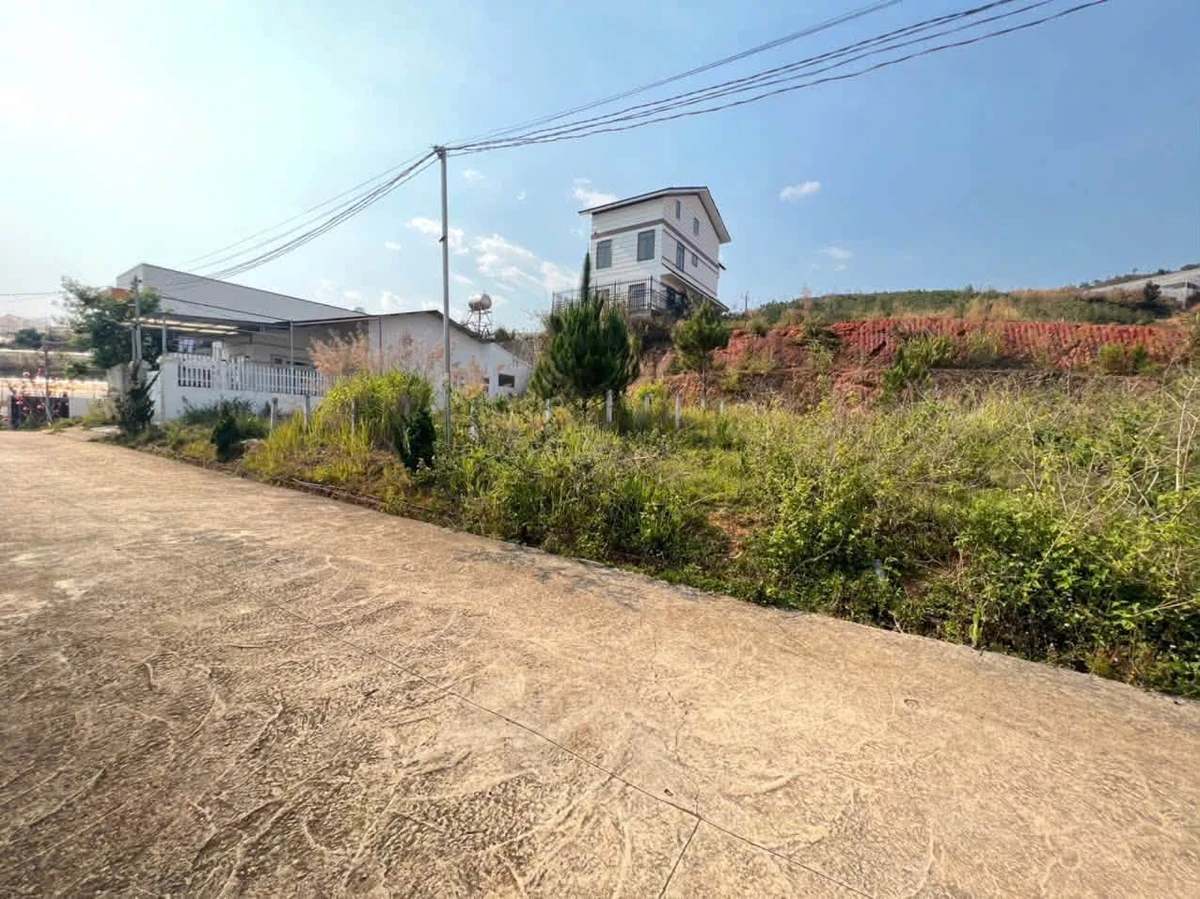 Bán đất xây dựng 174,8m² khu Liên Minh Đà Lạt 3,5 tỷ - Ảnh thu nhỏ 4