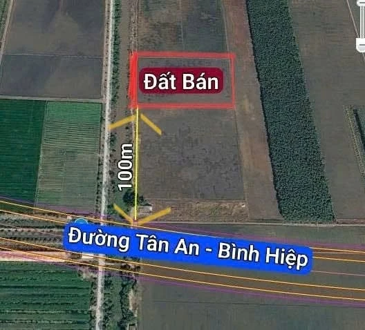 Bán đất lúa 83×120m (9960m²) Tân Tây Thạnh, Long An, 2.1 tỷ - Ảnh thu nhỏ 3