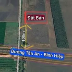 Bán đất lúa 83×120m (9960m²) Tân Tây Thạnh, Long An, 2.1 tỷ - Ảnh thu nhỏ 3