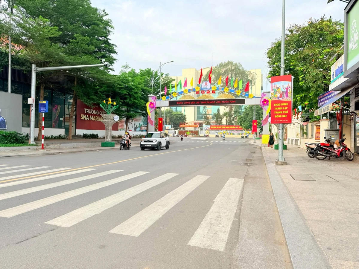 Bán lô đất 75m2 sổ riêng gần trường quốc tế SNA Biên Hoà - Ảnh thu nhỏ 3