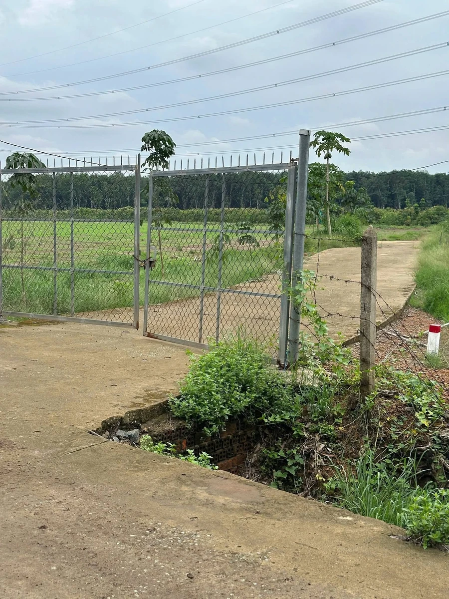 Bán đất vườn 1000m² TP Đồng Nai chỉ 380 triệu - Ảnh thu nhỏ 3