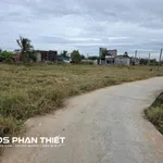 Bán đất 1.000 m² quy hoạch thổ cư, Kim Bình, Phan Thiết - Ảnh thu nhỏ 5