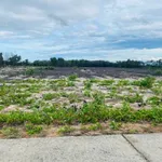 Bán 5,6ha đất rừng mặt tiền đường bê tông gần biển, giá 330 triệu/ha, Huế - Ảnh thu nhỏ 2