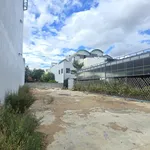 Bán đất mặt tiền Quốc Lộ 19, 330m² ngang 10m, 5 tỷ - Ảnh thu nhỏ 2