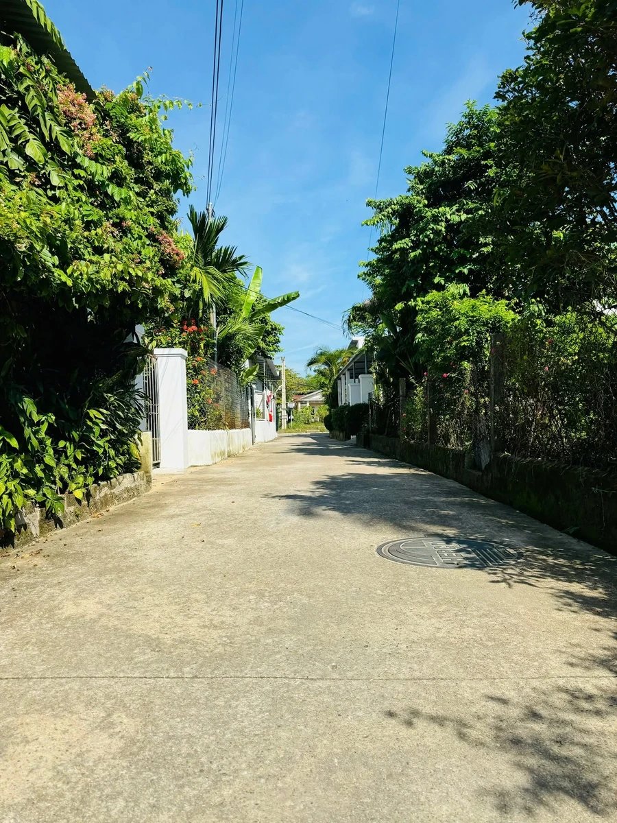 Bán đất kiệt Xuân Thủy 120m² giá 2,5 tỷ - Ảnh thu nhỏ 4