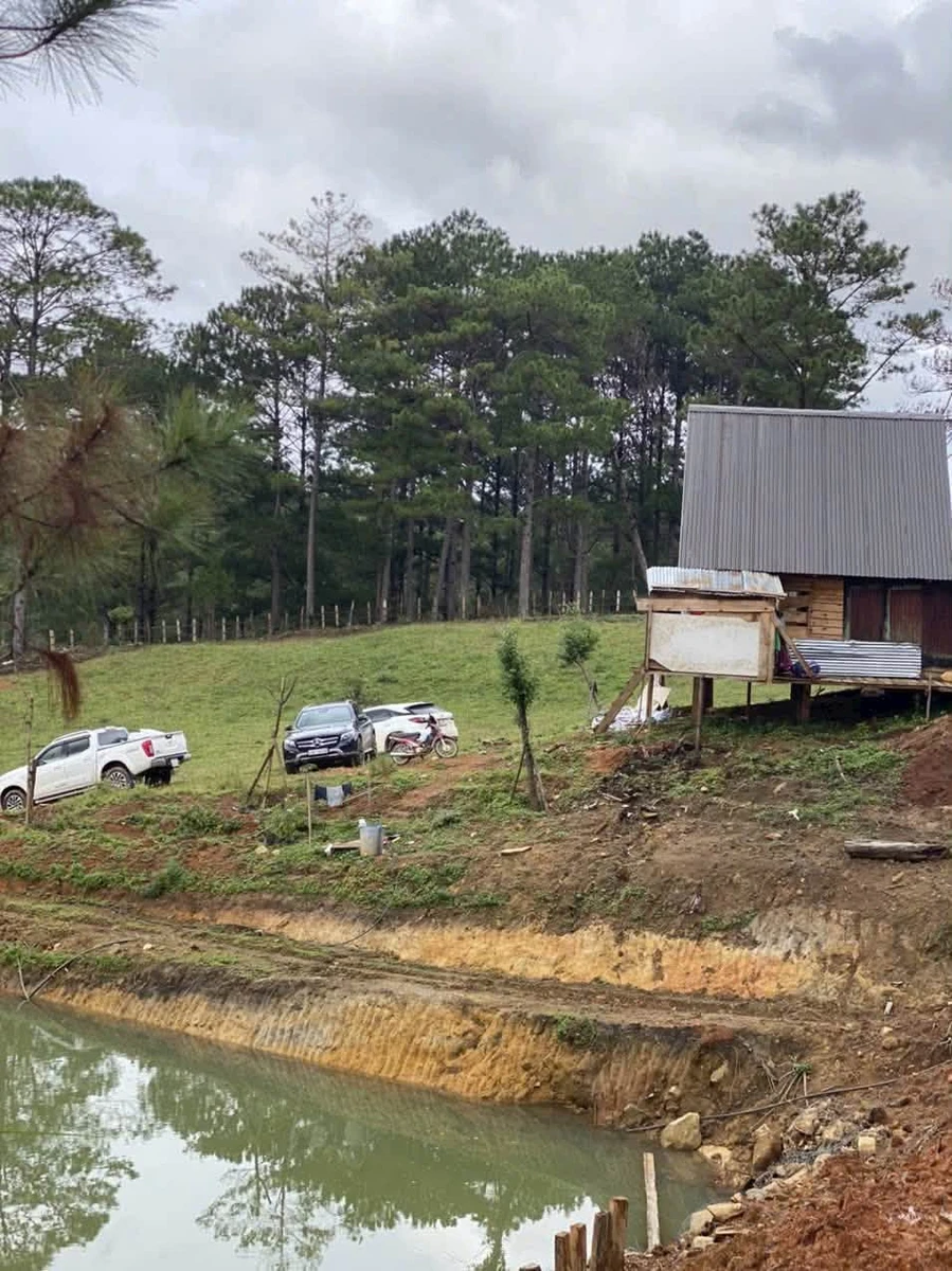 Bán đất 2.8 ha Mai Anh Đào view rừng Đa Nhim Lạc Dương - Ảnh 1