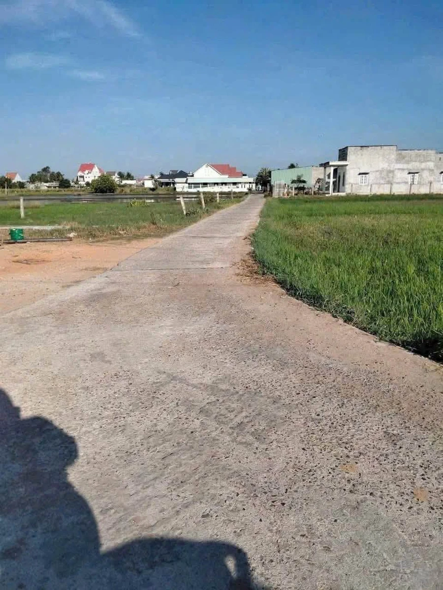 Bán đất cây trồng 1516m² 750 triệu Lâm Đồng - Ảnh thu nhỏ 2