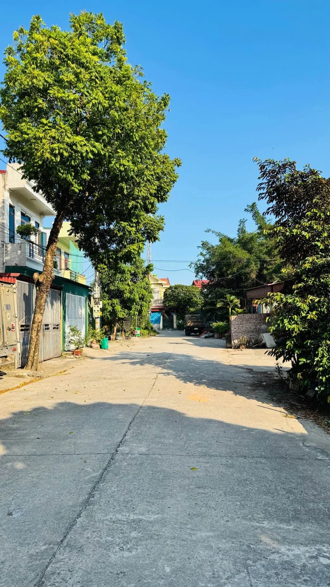 Bán lô đất 100m² Đông Phong, Bình Chánh 28tr/m² - Ảnh thu nhỏ 2