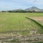 Bán đất lúa mặt tiền QL1A Nhà Bè 2919m2 - Ảnh thu nhỏ 1