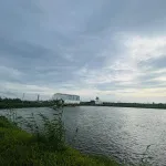 Bán 2 Vùng Nuôi tại Xã Nhơn Mỹ và Xã Long Giang, T. An Giang rộng đến hơn 40ha chỉ 108.1 tỷ đồng - Ảnh thu nhỏ 12