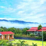 Bán đất nông nghiệp 25.000m2 Nam Cát Tiên, Đồng Nai - Ảnh thu nhỏ 2