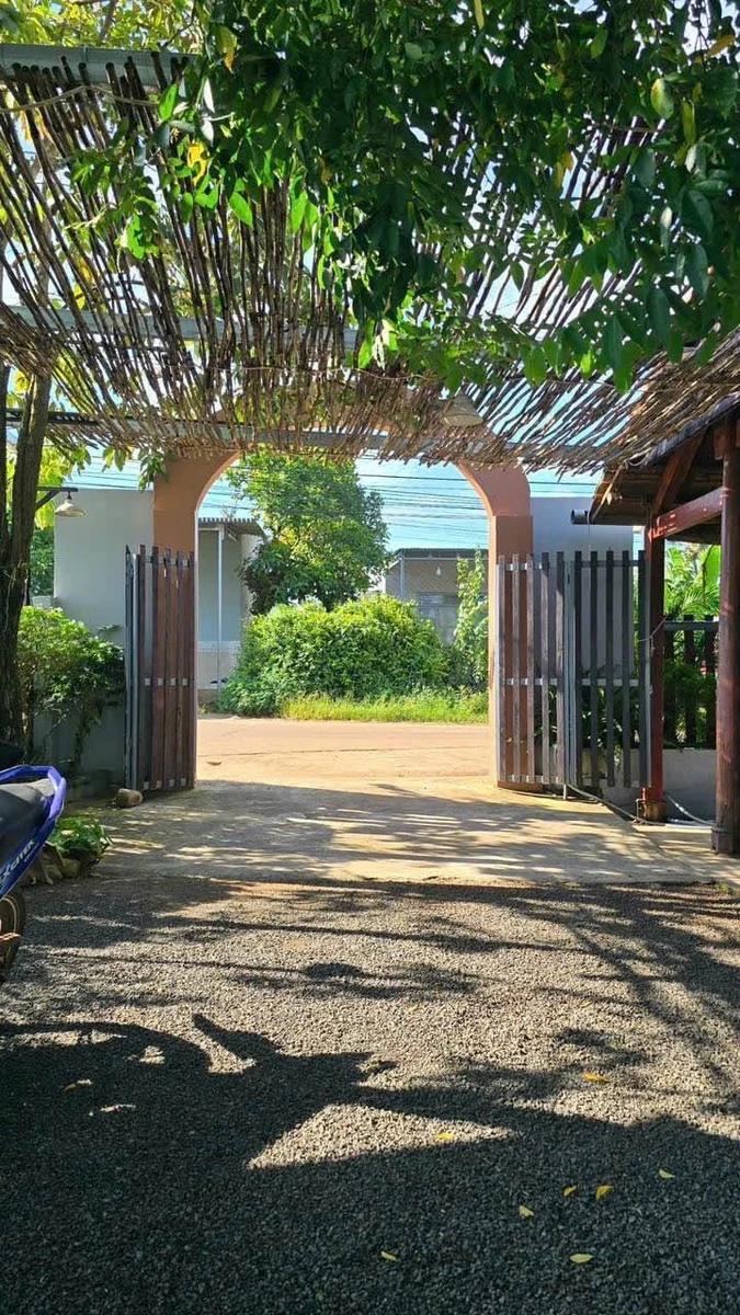 Bán đất 233m2 thổ cư 60m2 view ruộng Buôn Ma Thuột 1 tỷ 790 - Ảnh thu nhỏ 2