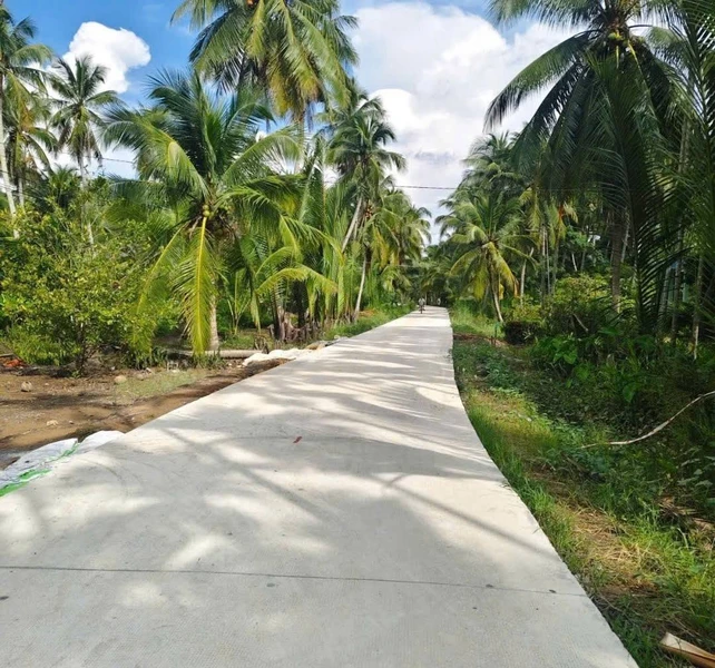 Bán đất 3.860m² gần chợ An Thới, Cần Giờ, giá 2,7 tỷ