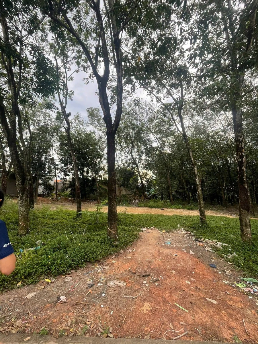 Bán đất 560m² chợ Phú Chánh A, Bình Dương, 5,6 tỷ - Ảnh 1